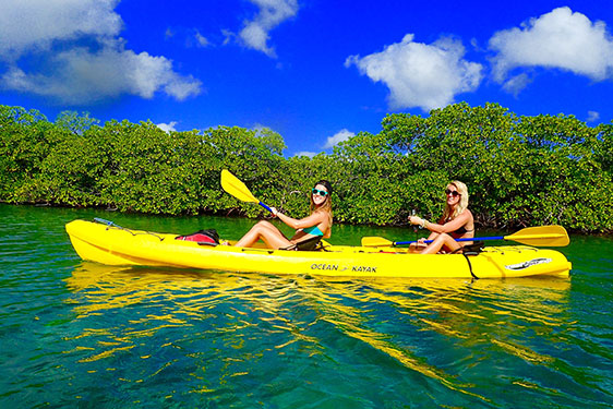 Ocean Kayak